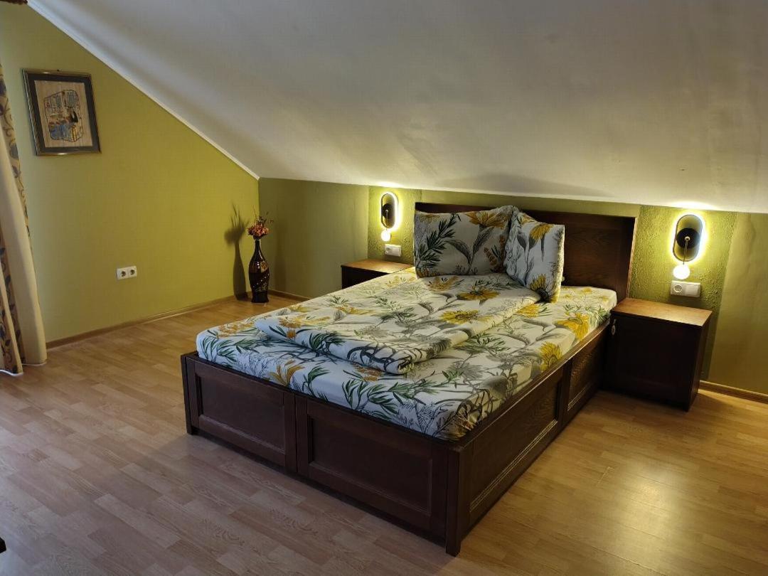 Vis Pension Viile Satu Mare Exterior photo