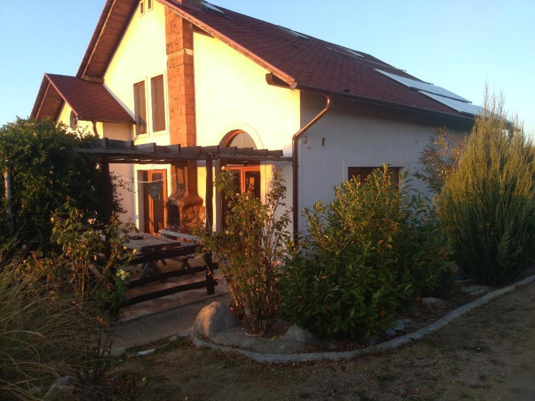 Vis Pension Viile Satu Mare Exterior photo