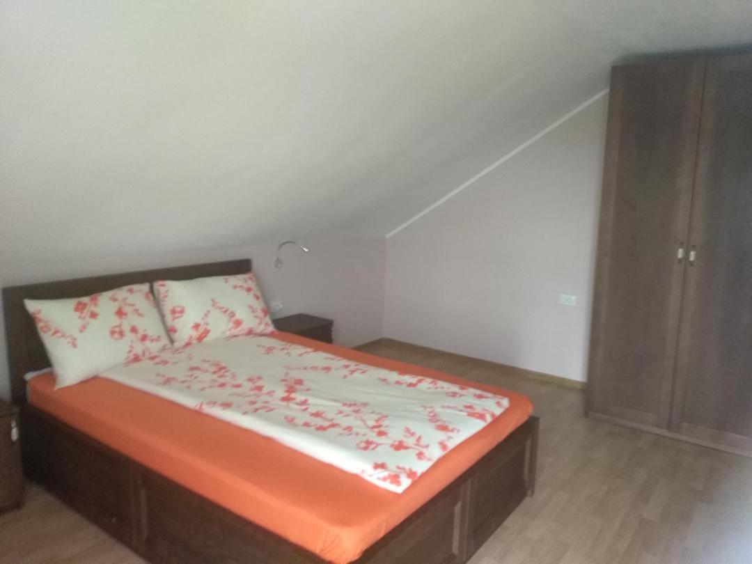 Vis Pension Viile Satu Mare Exterior photo