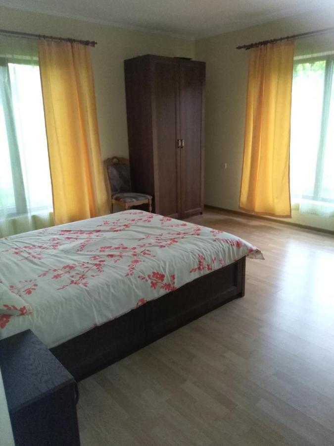 Vis Pension Viile Satu Mare Exterior photo