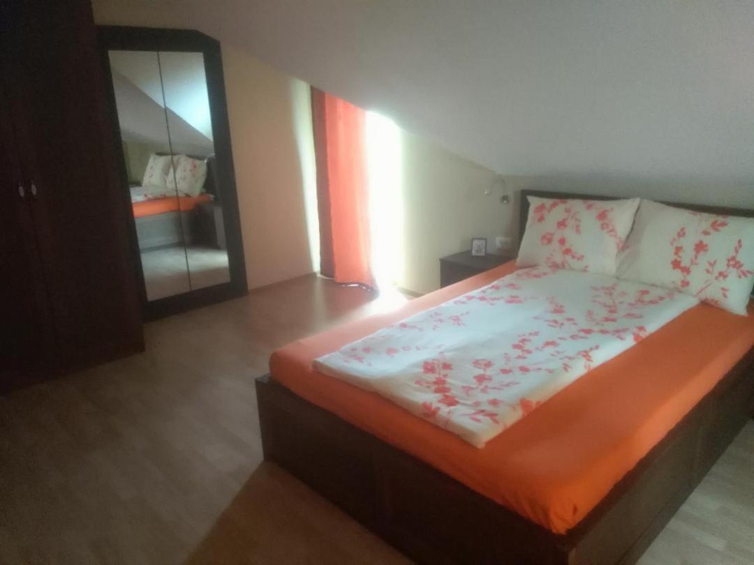 Vis Pension Viile Satu Mare Exterior photo